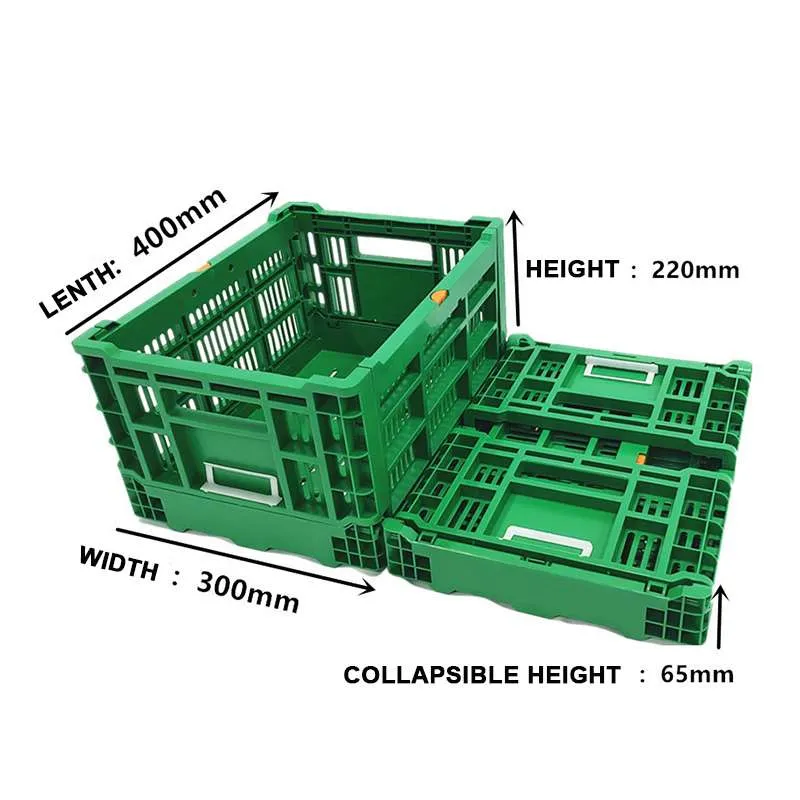 Ventilated Plastic Foldable Agricultural Mesh Crate