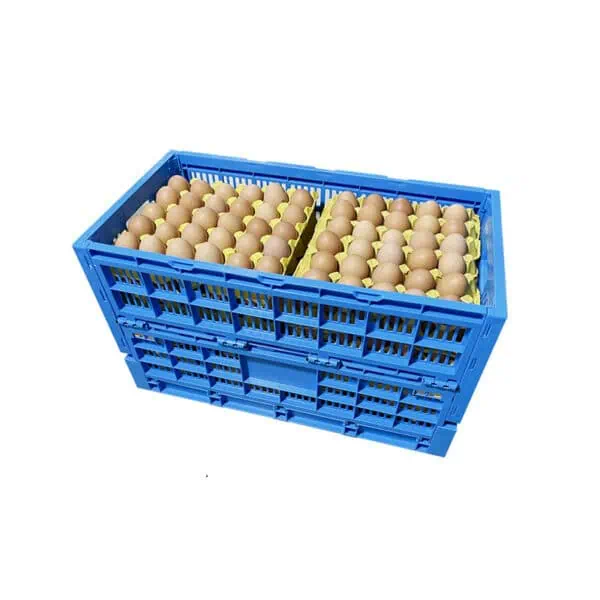 30-Dozen 360 Eggs Collapsible Plastic Shipping Crate